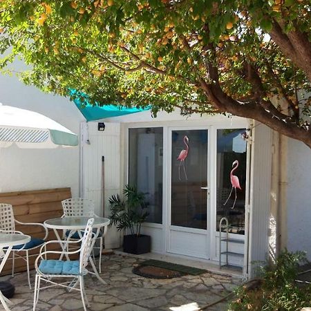 Le Flamant Rose Bed and Breakfast Salin-de-Giraud Esterno foto