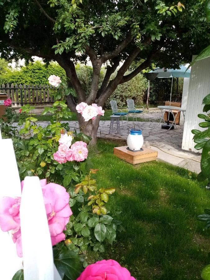 Le Flamant Rose Bed and Breakfast Salin-de-Giraud Esterno foto