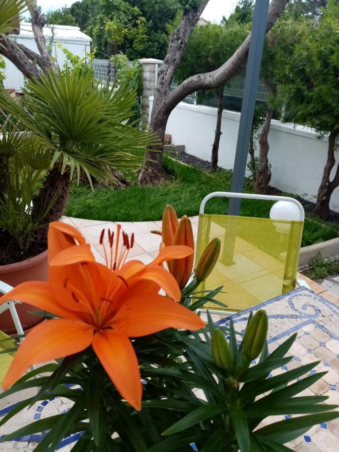 Le Flamant Rose Bed and Breakfast Salin-de-Giraud Esterno foto