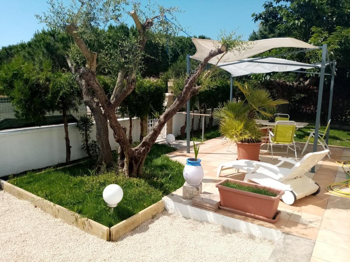 Le Flamant Rose Bed and Breakfast Salin-de-Giraud Esterno foto